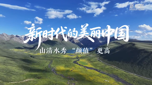 以法典之名！守護(hù)你我的美麗中國